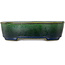 Oval green bonsai pot by Mazan - 192 x 160 x 55 mm
