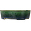 Oval green bonsai pot by Mazan - 192 x 160 x 55 mm