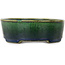 Pot à bonsaï ovale vert Mazan - 192 x 160 x 55 mm