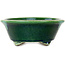 Pot à bonsaï ovale vert Mazan - 193 x 167 x 63 mm