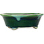 Pot à bonsaï ovale vert Mazan - 193 x 167 x 63 mm