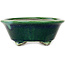 Pot à bonsaï ovale vert Mazan - 193 x 167 x 63 mm