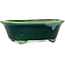 Oval green bonsai pot by Mazan - 193 x 167 x 63 mm