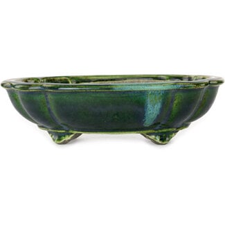  Satomi Mazan, Mazan Terahata 203 mm  green bonsai pot by Terahata Satomi Mazan, Tokoname, Japan
