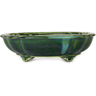  Satomi Mazan, Mazan Terahata Groene bonsaipot van 203 mm van Terahata Satomi Mazan, Tokoname, Japan