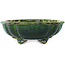 Mokko green bonsai pot by Terahata Satomi Mazan - 203 x 175 x 55 mm