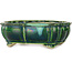 Lotus green bonsai pot by Terahata Satomi Mazan - 172 x 145 x 55 mm