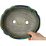 Mokko green bonsai pot by Terahata Satomi Mazan - 203 x 175 x 55 mm