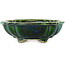 Mokko green bonsai pot by Terahata Satomi Mazan - 182 x 154 x 48 mm