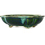 Mokko green bonsai pot by Terahata Satomi Mazan - 182 x 154 x 48 mm