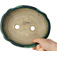 Mokko green bonsai pot by Terahata Satomi Mazan - 182 x 154 x 48 mm