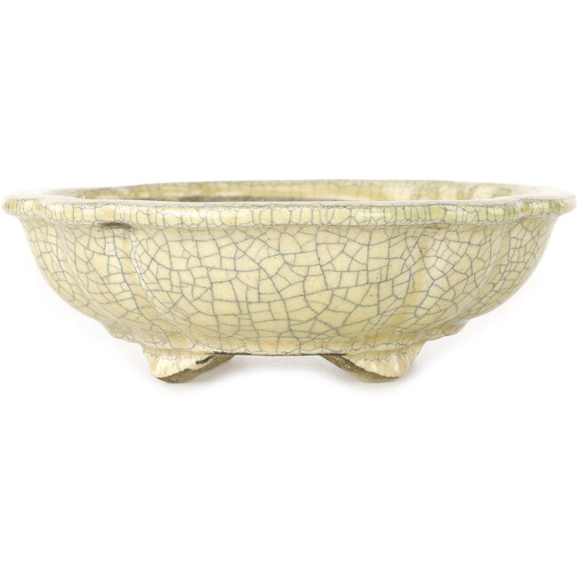 Mokko beige craquelé bonsai pot by Terahata Satomi Mazan - 182 x 154 x 48 mm