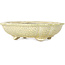 Mokko beige craquelé bonsai pot by Terahata Satomi Mazan - 182 x 154 x 48 mm