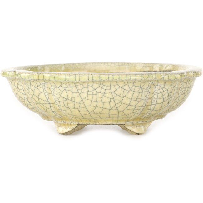 Mokko beige craquelé bonsai pot by Terahata Satomi Mazan - 182 x 154 x 48 mm