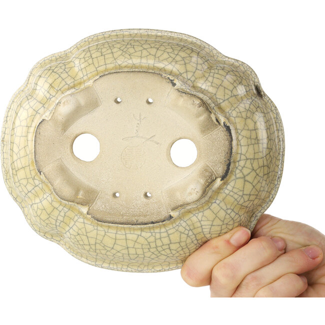 Mokko-beiger Craquelé-Bonsaitopf von Terahata Satomi Mazan – 182 x 154 x 48 mm