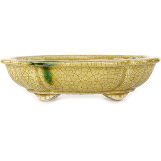  Satomi Mazan, Mazan Terahata 182 mm  yellow craquelé bonsai pot by Terahata Satomi Mazan, Tokoname, Japan