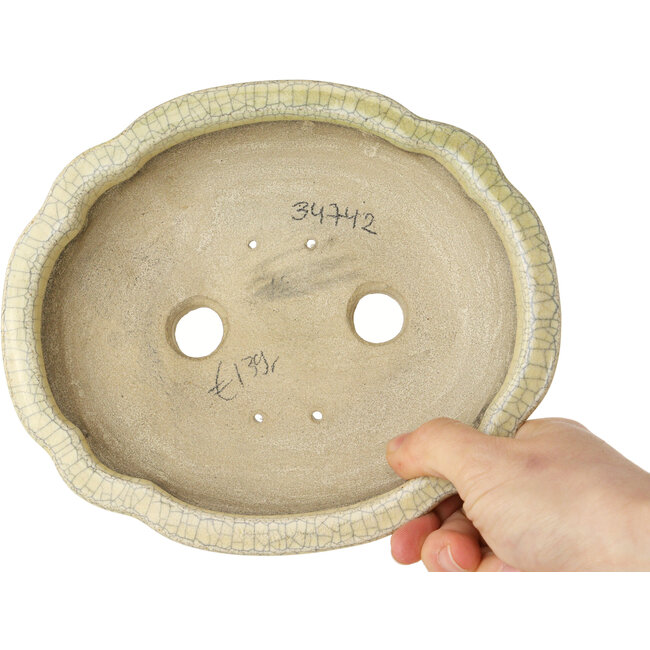 Mokko-beiger Craquelé-Bonsaitopf von Terahata Satomi Mazan – 182 x 154 x 48 mm