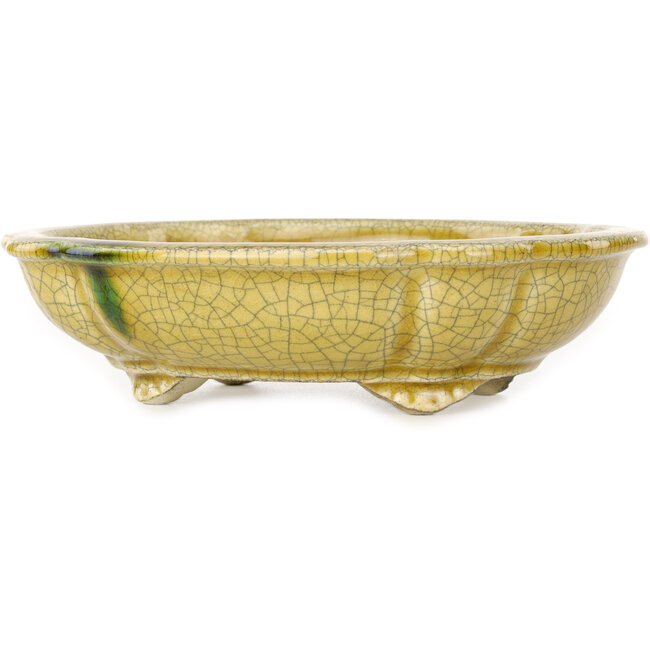 Mokko gelber Craquelé-Bonsaitopf von Terahata Satomi Mazan – 182 x 154 x 48 mm