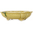 Mokko yellow craquelé bonsai pot by Terahata Satomi Mazan - 182 x 154 x 48 mm