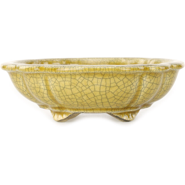 Maceta para bonsái craquelé amarillo Mokko de Terahata Satomi Mazan - 182 x 154 x 48 mm