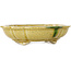 Mokko yellow craquelé bonsai pot by Terahata Satomi Mazan - 182 x 154 x 48 mm
