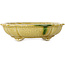 Mokko yellow craquelé bonsai pot by Terahata Satomi Mazan - 182 x 154 x 48 mm