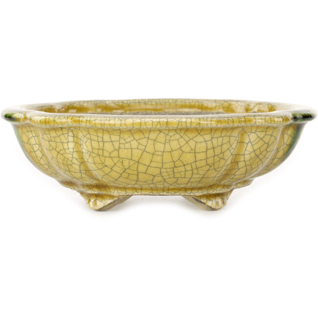 Vaso bonsai Mokko giallo craquelé di Terahata Satomi Mazan - 182 x 154 x 48 mm