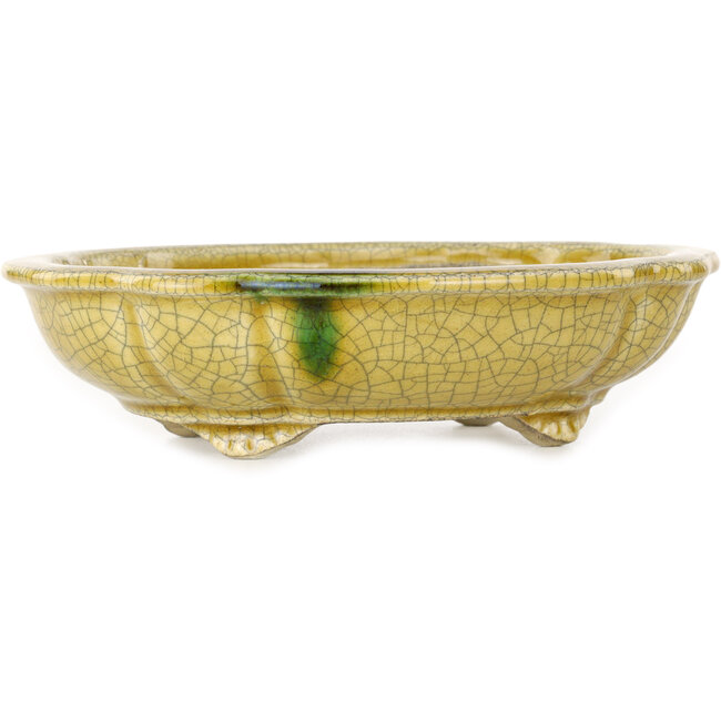 Maceta para bonsái craquelé amarillo Mokko de Terahata Satomi Mazan - 182 x 154 x 48 mm