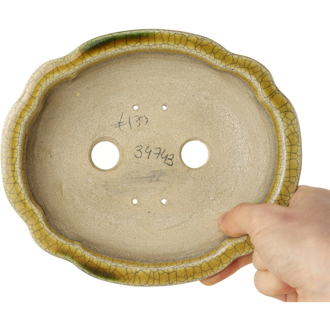 Pot à bonsaï craquelé jaune Mokko par Terahata Satomi Mazan - 182 x 154 x 48 mm