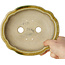 Mokko yellow craquelé bonsai pot by Terahata Satomi Mazan - 182 x 154 x 48 mm