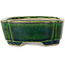 Mokko green bonsai pot by Terahata Satomi Mazan - 160 x 120 x 45 mm