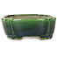 Mokko green and multicolor bonsai pot by Terahata Satomi Mazan - 160 x 120 x 45 mm