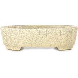  Satomi Mazan, Mazan Terahata 160 mm beige craquelé bonsaipot van Terahata Satomi Mazan, Tokoname, Japan
