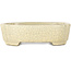 Mokko beige craquelé bonsai pot by Terahata Satomi Mazan - 160 x 120 x 45 mm