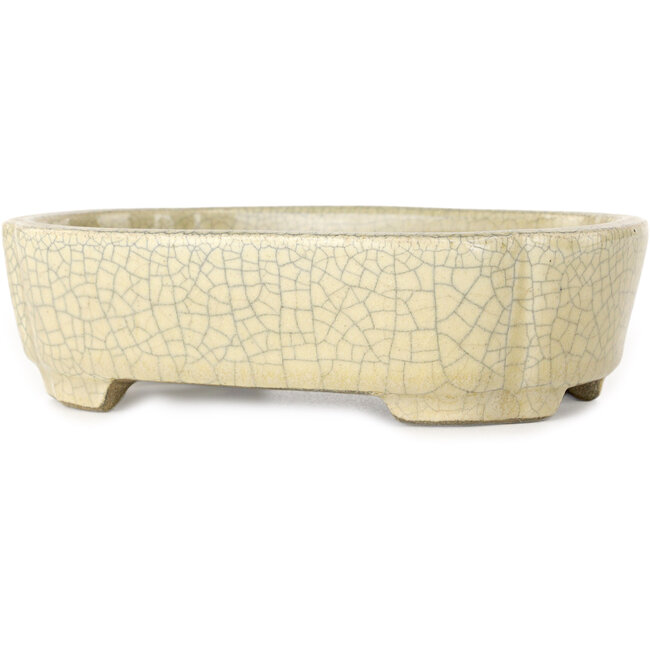 Vaso bonsai Mokko beige craquelé di Terahata Satomi Mazan - 160 x 120 x 45 mm