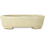 Mokko beige craquelé bonsai pot by Terahata Satomi Mazan - 160 x 120 x 45 mm