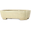 Mokko beige craquelé bonsai pot by Terahata Satomi Mazan - 160 x 120 x 45 mm