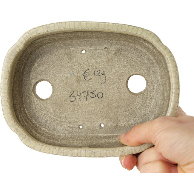 Maceta para bonsái craquelé beige Mokko de Terahata Satomi Mazan - 160 x 120 x 45 mm