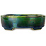 Oval green bonsai pot by Terahata Satomi Mazan - 160 x 130 x 50 mm