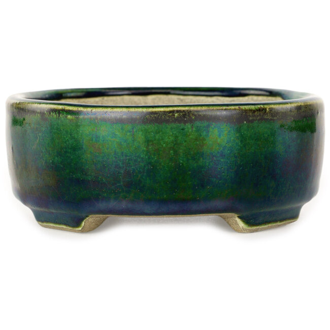 Vaso bonsai ovale verde di Terahata Satomi Mazan - 160 x 130 x 50 mm