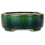 Oval green bonsai pot by Terahata Satomi Mazan - 160 x 130 x 50 mm