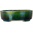 Oval green bonsai pot by Terahata Satomi Mazan - 160 x 130 x 50 mm