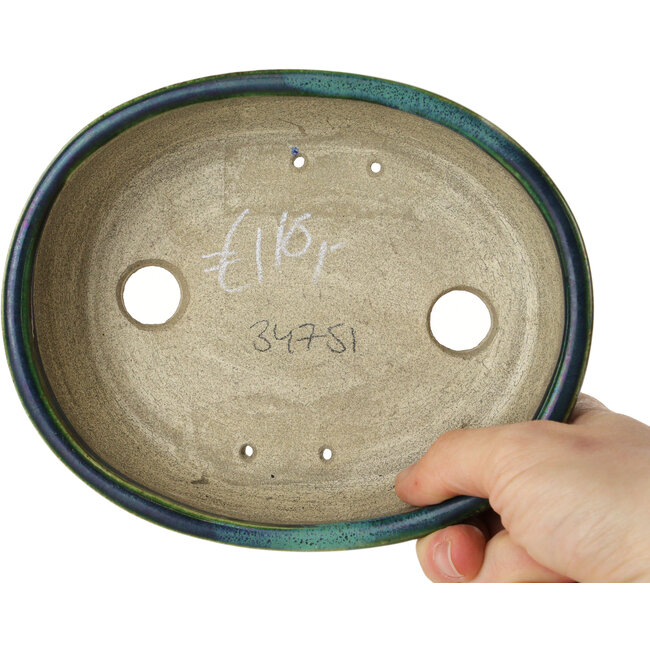 Vaso bonsai ovale verde di Terahata Satomi Mazan - 160 x 130 x 50 mm