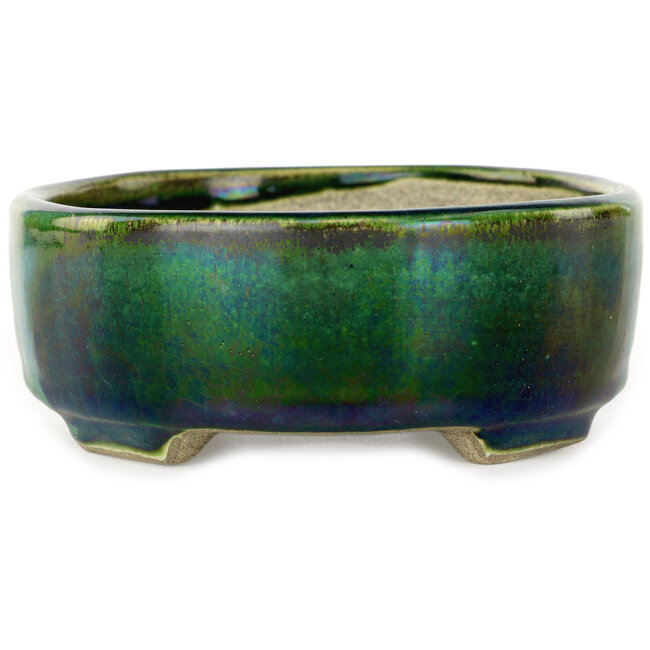 Maceta ovalada para bonsái verde de Terahata Satomi Mazan - 160 x 130 x 50 mm