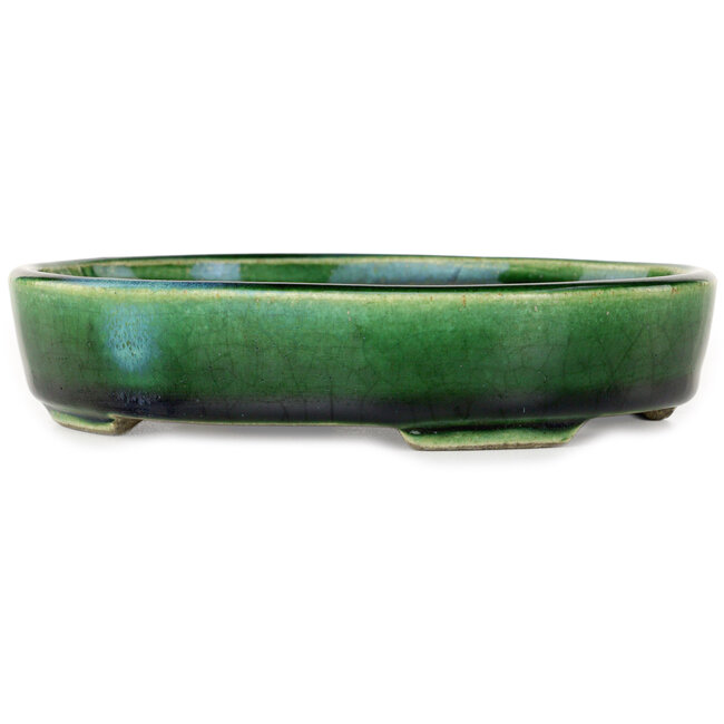 Maceta ovalada para bonsái verde de Terahata Satomi Mazan - 160 x 130 x 34 mm