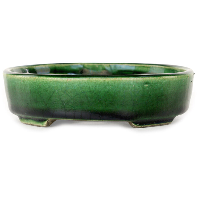 Maceta ovalada para bonsái verde de Terahata Satomi Mazan - 160 x 130 x 34 mm