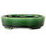 Oval green bonsai pot by Terahata Satomi Mazan - 160 x 130 x 34 mm