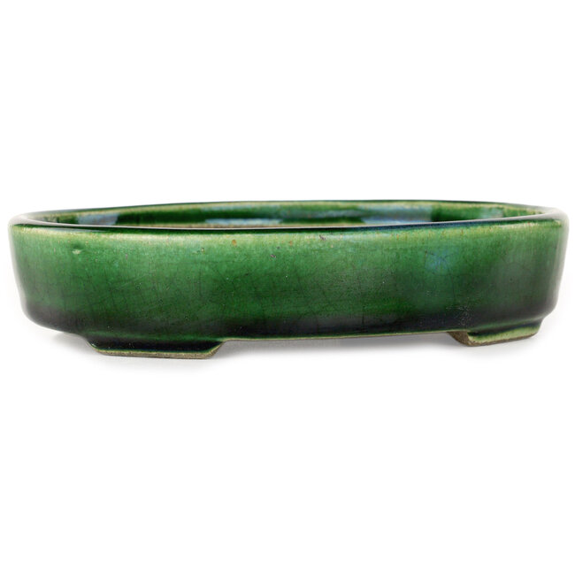 Maceta ovalada para bonsái verde de Terahata Satomi Mazan - 160 x 130 x 34 mm