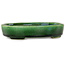Oval green bonsai pot by Terahata Satomi Mazan - 160 x 130 x 34 mm