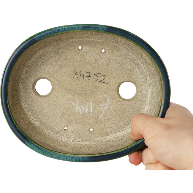 Vaso bonsai ovale verde di Terahata Satomi Mazan - 160 x 130 x 50 mm